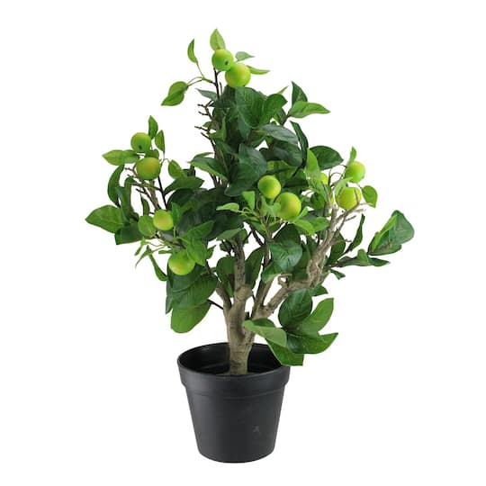23&#x22; Potted Bonsai-Style Green Apple Tree